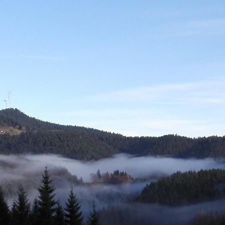 Ferienwohnung Am Sulzbaechle Bad Rippoldsau-Schapbach Kültér fotó