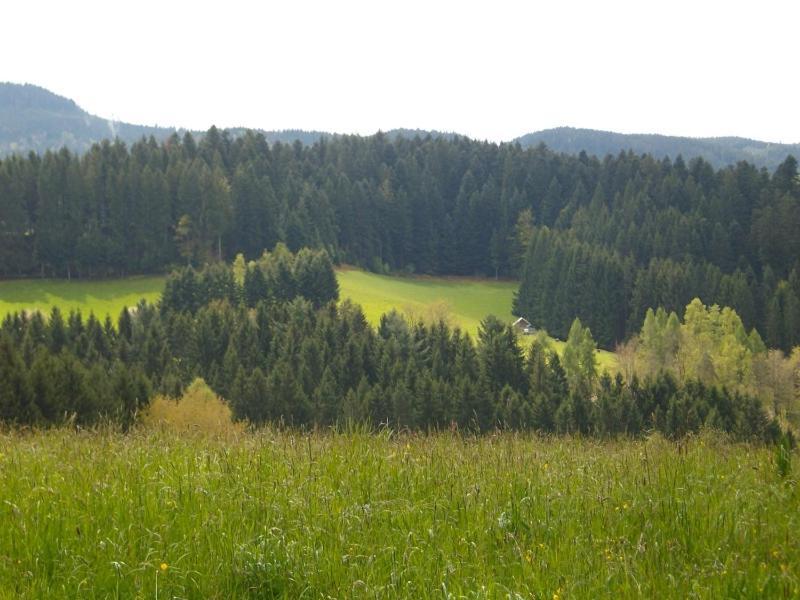 Ferienwohnung Am Sulzbaechle Bad Rippoldsau-Schapbach Kültér fotó